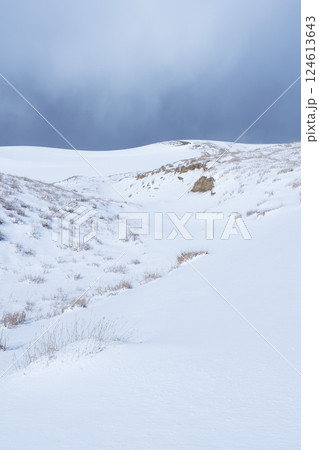 冬の鳥取砂丘の雪景色 鳥取県 鳥取砂丘 124613643