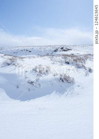 冬の鳥取砂丘の雪景色 鳥取県 鳥取砂丘 124613645