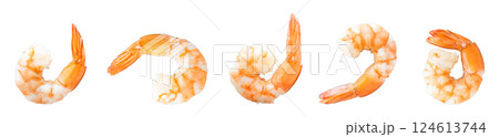 Set Shrimp of boiled prawn seafood isolated white background 124613744