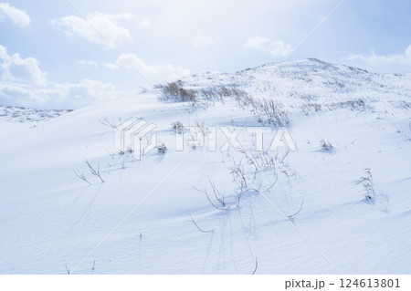 冬の鳥取砂丘の雪景色 鳥取県 鳥取砂丘 冬の鳥取砂丘の雪景色 鳥取県 鳥取砂丘 124613801