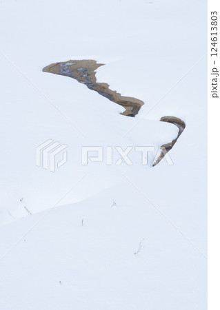 冬の鳥取砂丘の雪景色 鳥取県 鳥取砂丘 124613803