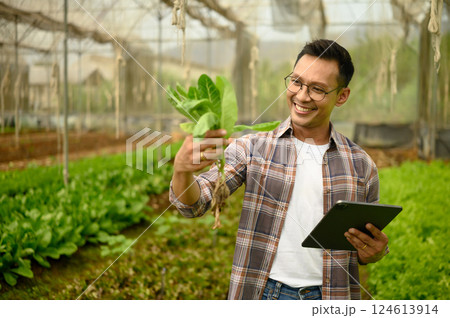 Smiling male farmer holding fresh leafy greens while using a digital tablet in a greenhouse 124613914