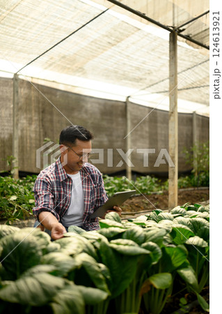 Smiling farmer using digital tablet in a greenhouse. Concept of agri business innovation Smiling farmer using digital tablet in a greenhouse. Concept of agri business innovation 124613921