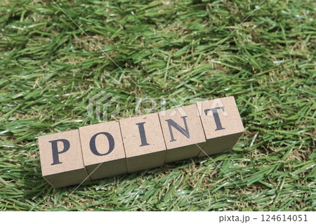 木のブロックに書かれたPOINTの文字 124614051