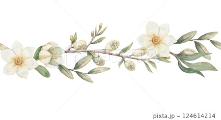 Seamless border with white flower and blooming willow in vintage style. Hand drawn watercolor decorative festive design. Graphic ideal for Easter card template. Perfect for spring holiday season. Seamless border with white flower and blooming willow in vintage style. Hand drawn watercolor decorative festive design. Graphic ideal for Easter card template. Perfect for spring holiday season. 124614214