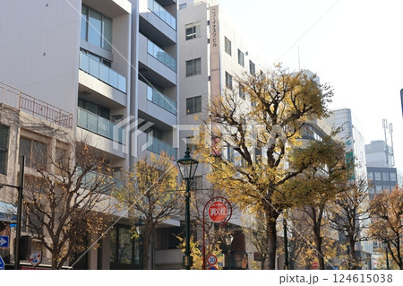 横浜市馬車道通りの風景 124615038