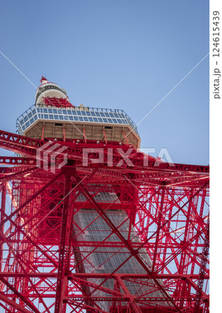 下から見上げた東京タワー 124615439