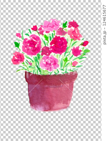 Carnation in a pot Carnation in a pot 124615677