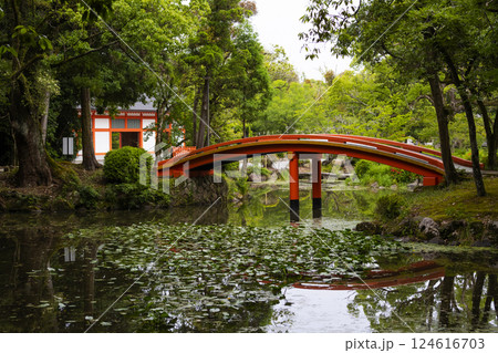 太鼓橋 124616703