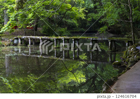 石橋 124616704