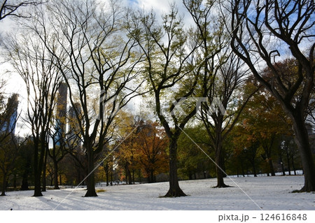 A trip to New York City is an unforgettable experience 124616848