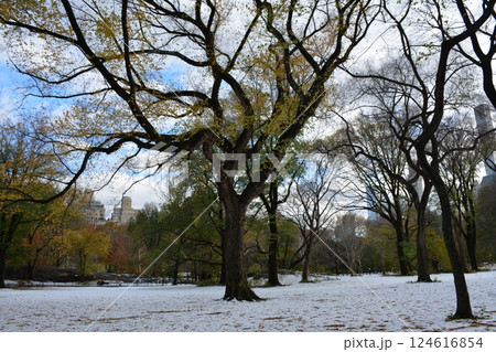A trip to New York City is an unforgettable experience A trip to New York City is an unforgettable experience 124616854