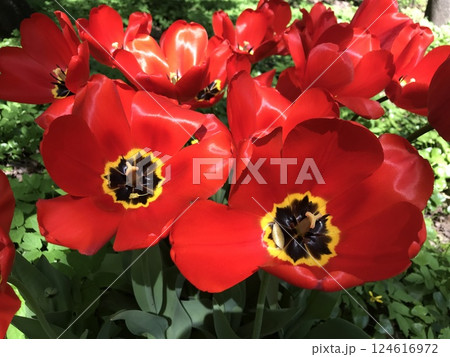 A trip to New York City is an unforgettable experience 124616972