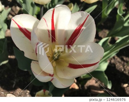 A trip to New York City is an unforgettable experience 124616976