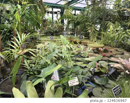 A trip to New York City is an unforgettable experience 124616987