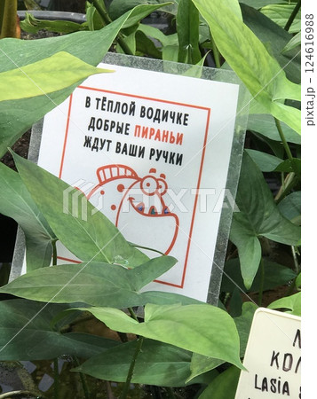 A trip to New York City is an unforgettable experience 124616988