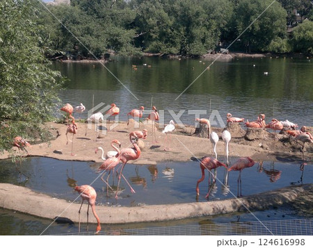 A trip to New York City is an unforgettable experience 124616998