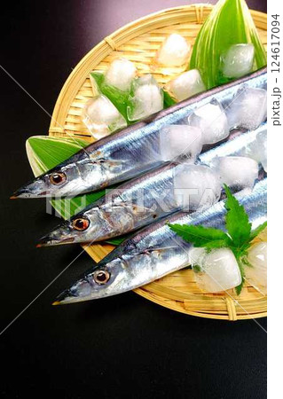 サンマ 秋刀魚 さんま サンマ 秋刀魚 さんま 124617094