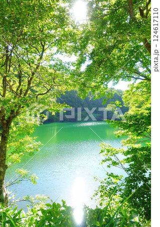 ドッコ沼　蔵王　新緑 124617110