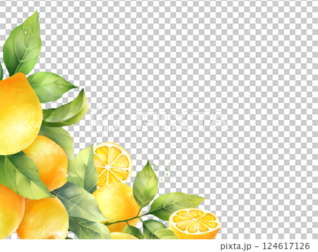 Decorative background with hand drawn lemons and leaves. Decorative background with hand drawn lemons and leaves. 124617126