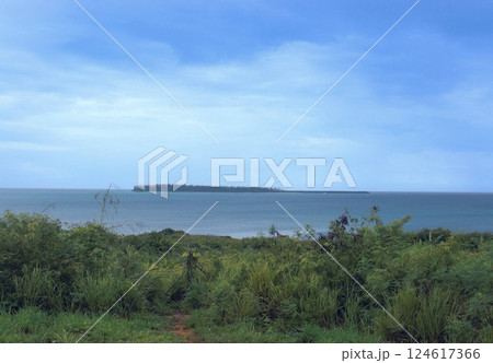 ブラシ島 124617366