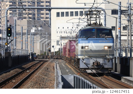 【JR貨物】EF66形100番台(おおさか東線:高井田中央駅) 【JR貨物】EF66形100番台(おおさか東線:高井田中央駅) 124617451