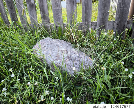 A large boulder lies in the green grass. a round stone on the green grass. 124617677