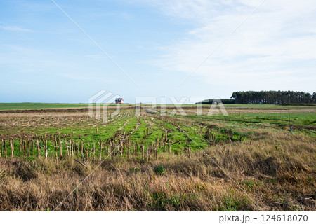 Farm house in the middle of nowhere. North of spain. 124618070