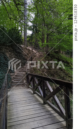 Wooden bridge leading to hiking trail in pruhonice park 124618350