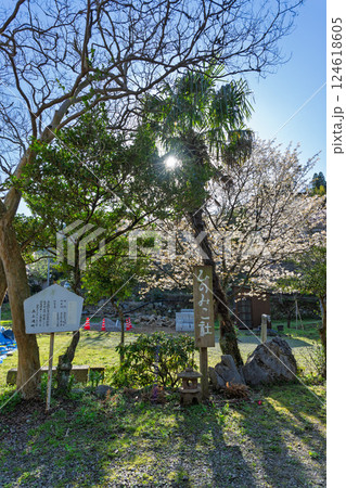 春の景色に映える自然を崇拝する　ひのみこ社　境内風景　宮崎県西臼杵郡高千穂町上野 124618605