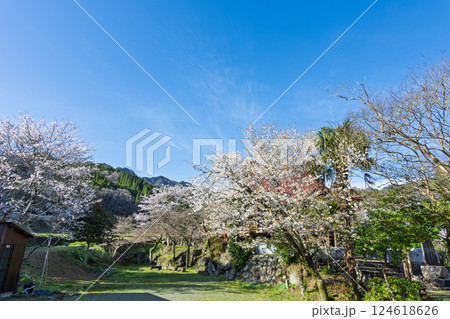 春の景色に映える自然を崇拝する　ひのみこ社　周辺風景　宮崎県西臼杵郡高千穂町上野 124618626