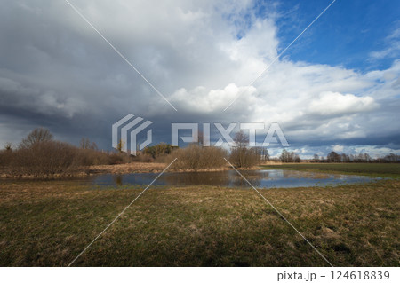 Water after rain in the meadow and a cloudy sky 124618839