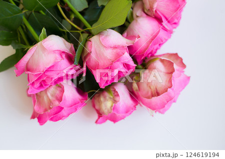 beautiful pink rose lie on white table 124619194