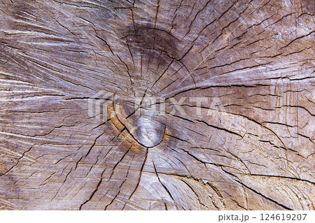 old brown wood texture, suitable for background 124619207