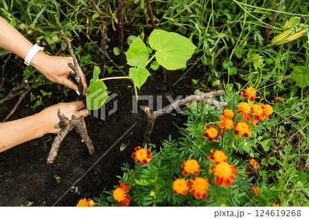 The process of planting a tree among flowers, demonstrating nature, growth and eco-friendliness. 124619268