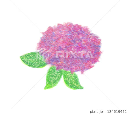 アジサイの素材イラスト アジサイの素材イラスト 124619452