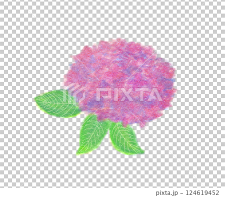 アジサイの素材イラスト アジサイの素材イラスト 124619452