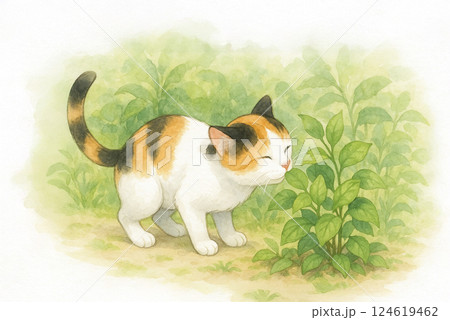 マタタビを嗅ぐ三毛猫の水彩イラスト 124619462