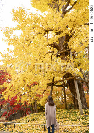 九品仏浄真寺の紅葉を楽しむ女性 九品仏浄真寺の紅葉を楽しむ女性 124620683