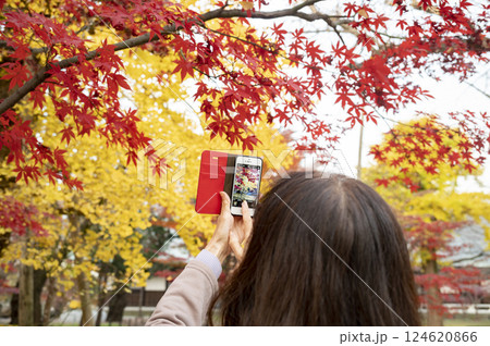 スマホで紅葉を撮影する女性 124620866
