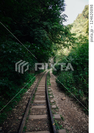 Old railway for a train in a green mountain forest Old railway for a train in a green mountain forest 124620898