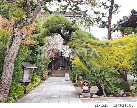 證誠寺（木更津市） 124621106