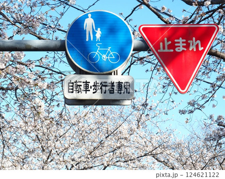 佐賀の桜 124621122