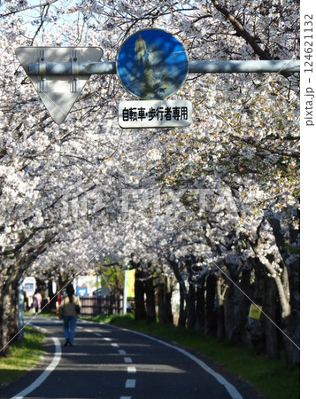 佐賀の桜 124621132