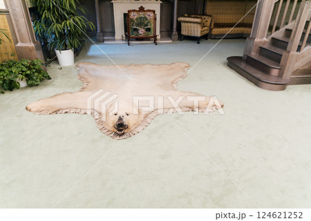 Bear skin on the floor in the interior of the living room 124621252