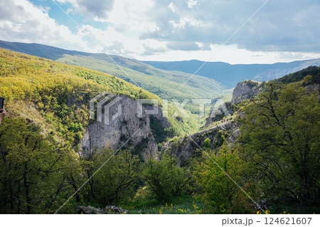 Beautiful landscape from the top of the mountain to the forest and sky with clouds 124621607