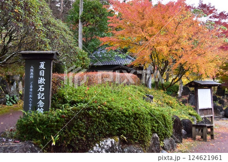 伊豆市 修善寺虹の郷日本庭園の夏目漱石記念館と紅葉 伊豆市 修善寺虹の郷日本庭園の夏目漱石記念館と紅葉 124621961