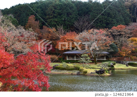 伊豆市　修善寺虹の郷日本庭園の菖蒲ヶ池と紅葉 124621964