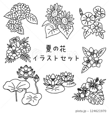 夏の花イラストセット 手がきペン画 夏の花イラストセット 手がきペン画 124621970
