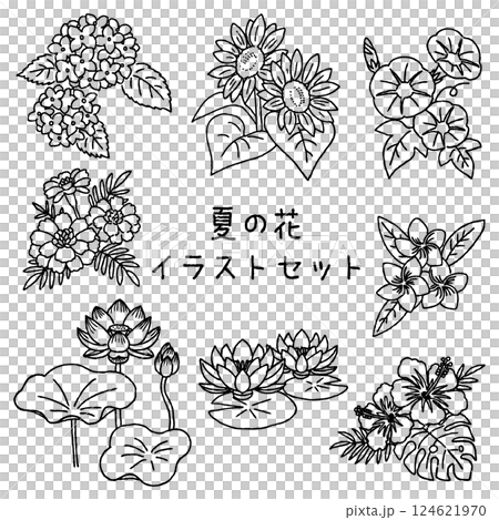 夏の花イラストセット 手がきペン画 夏の花イラストセット 手がきペン画 124621970